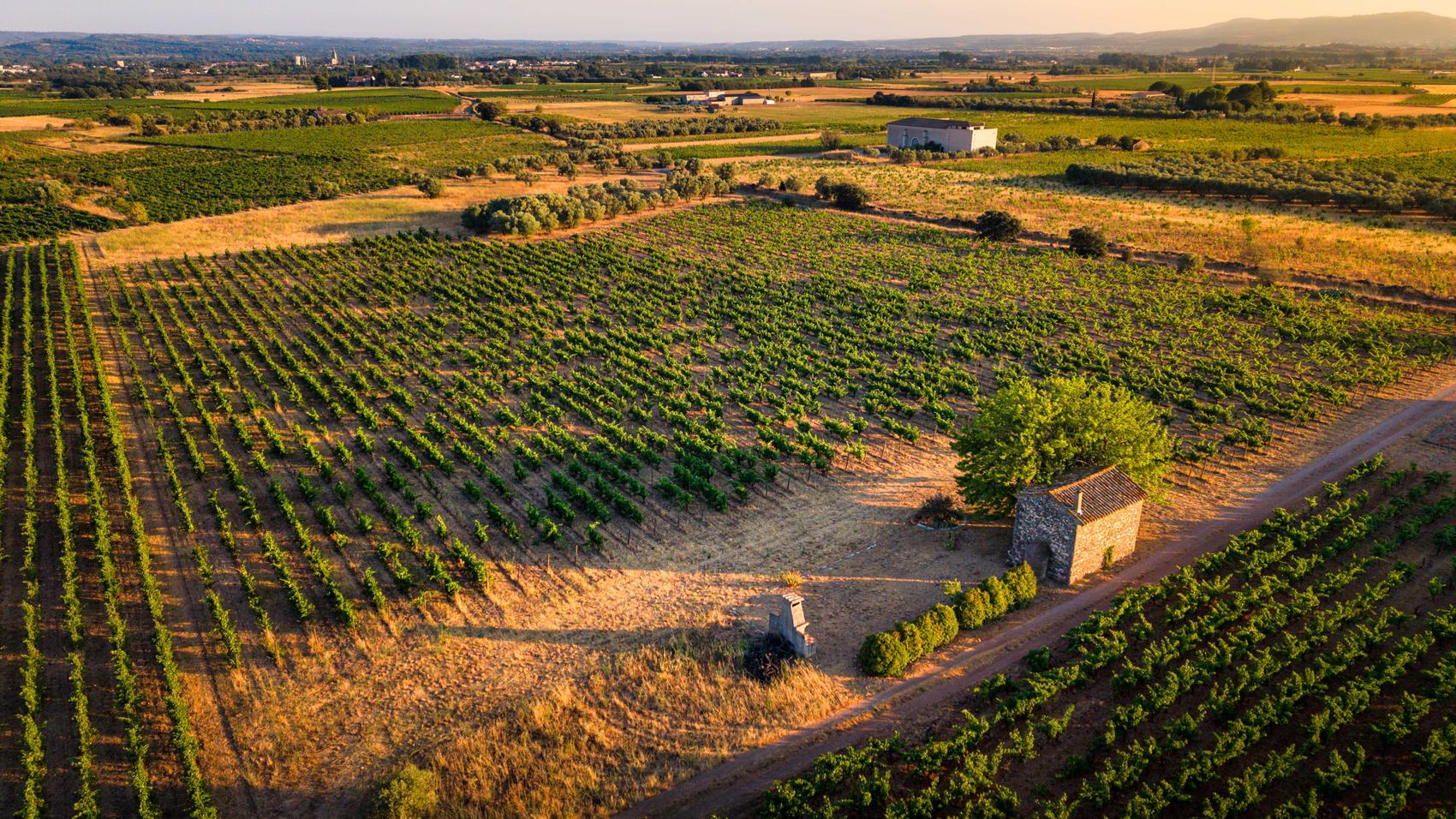 Une parcelle et sa capitelle de pierre sèche, vue du ciel