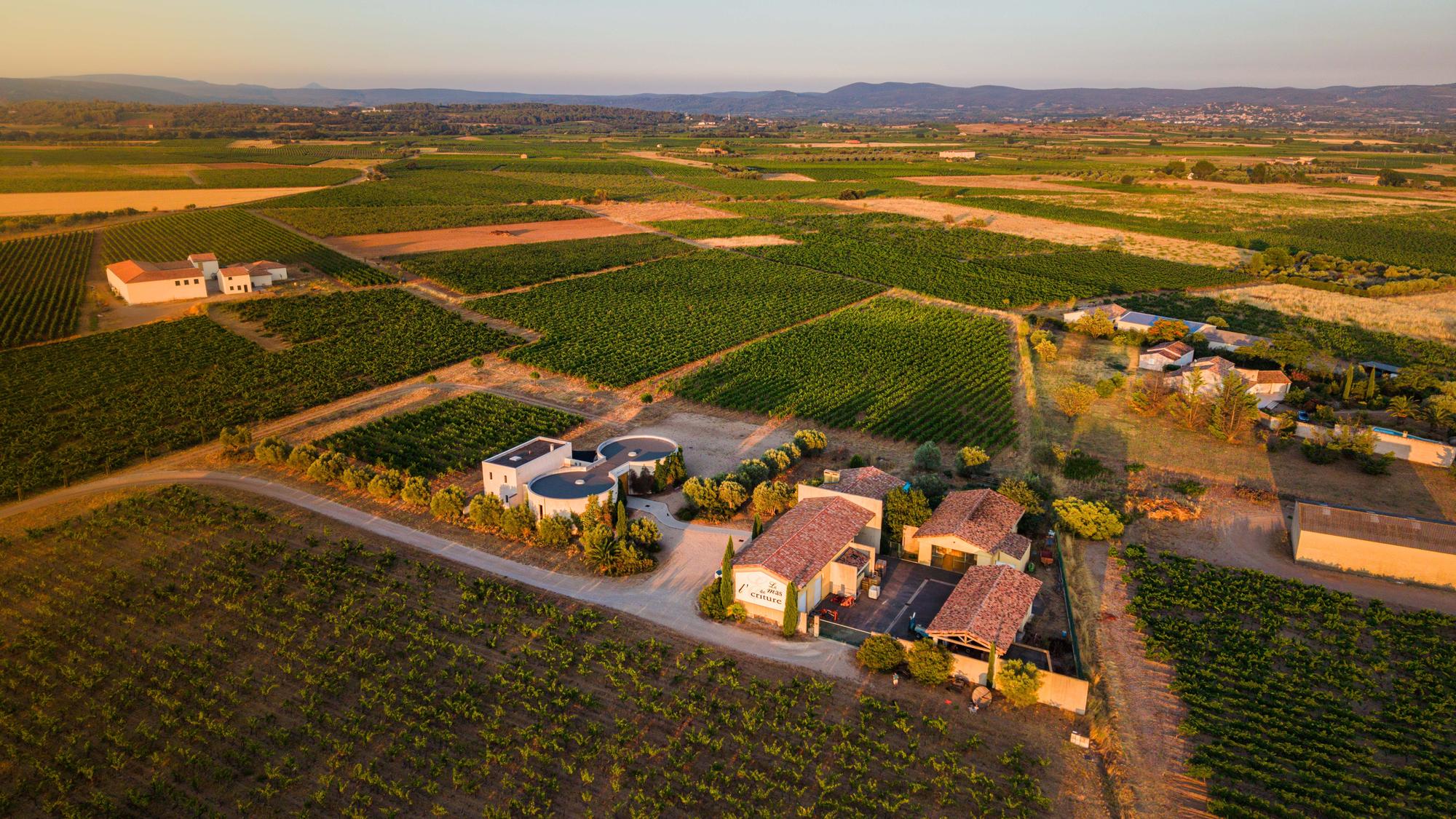 Le domaine et ses parcelles vus du ciel, les reliefs du Larzac en fond