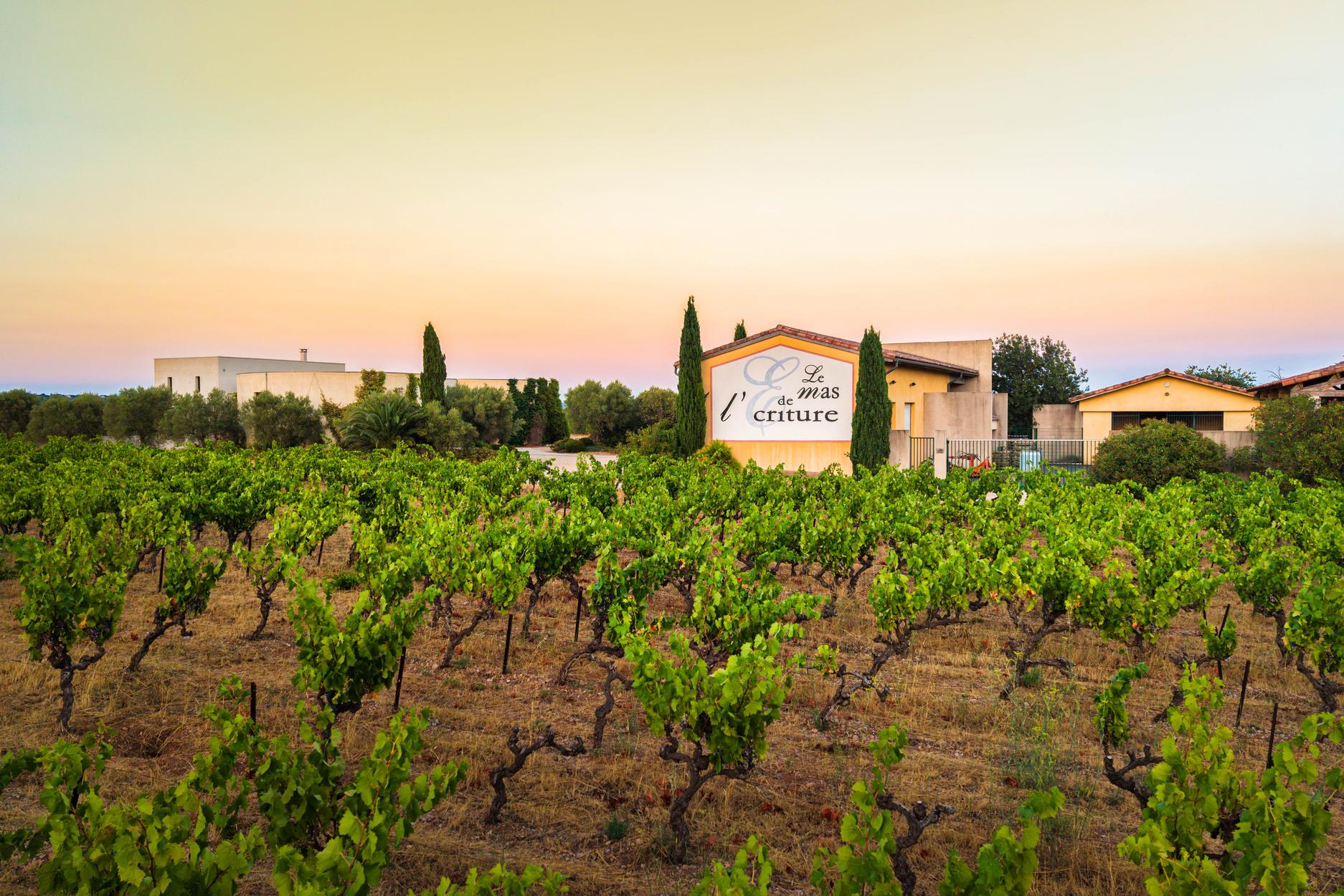 Le pignon peint du Mas de l'Écriture, derrière les vieilles vignes